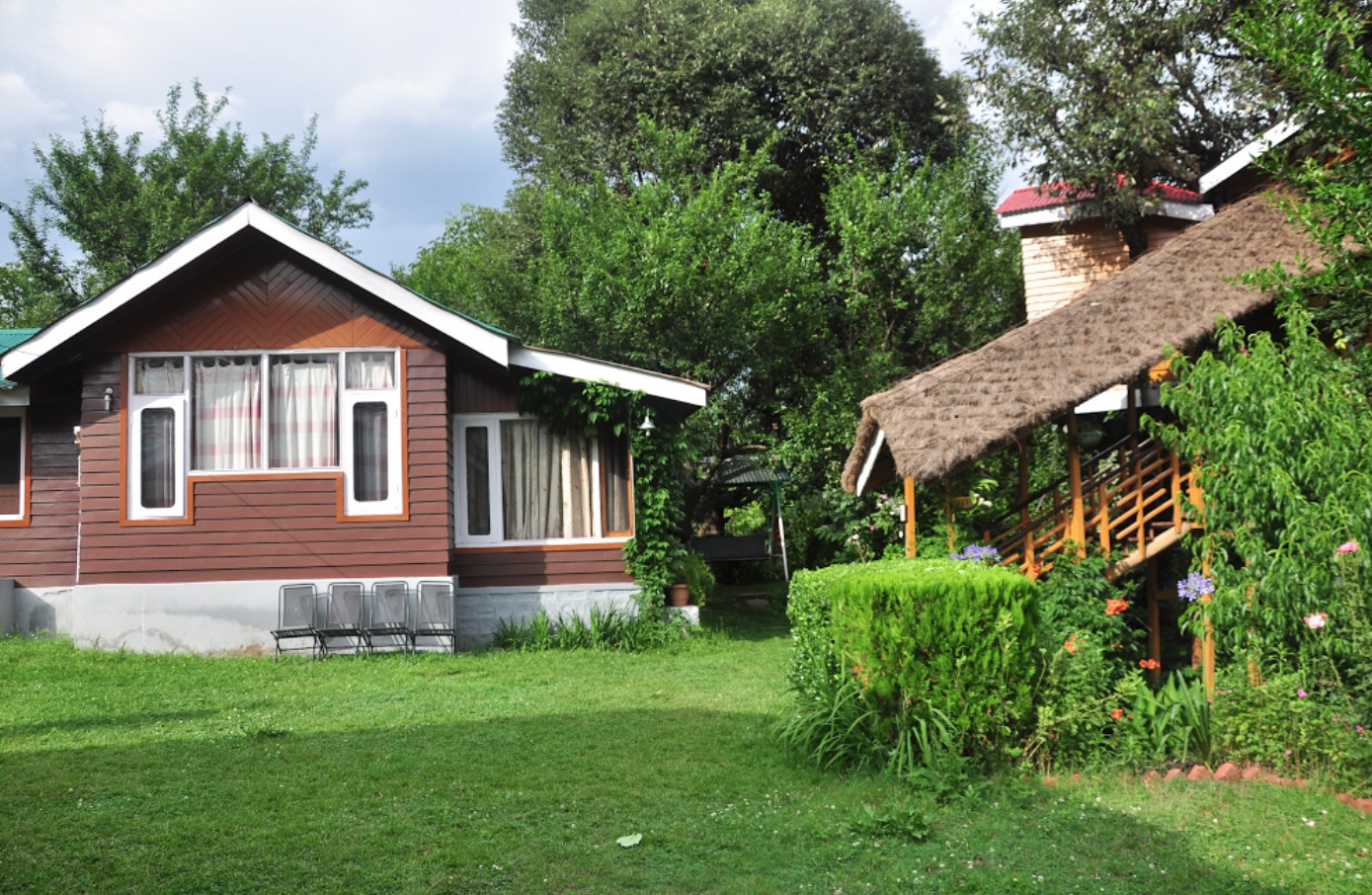 Tree House Cottages photo 1