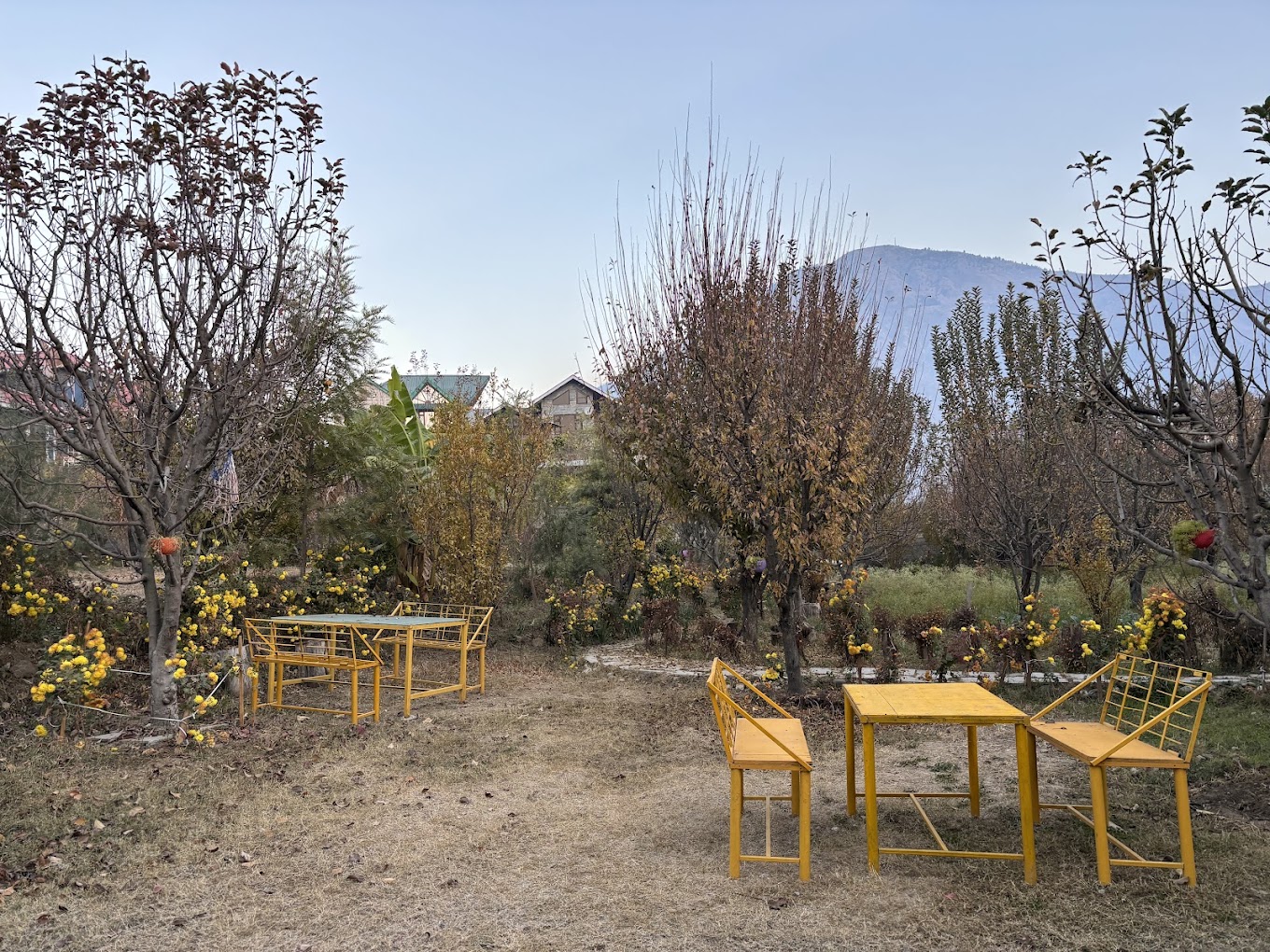 Gazing Moon Homestay photo 3
