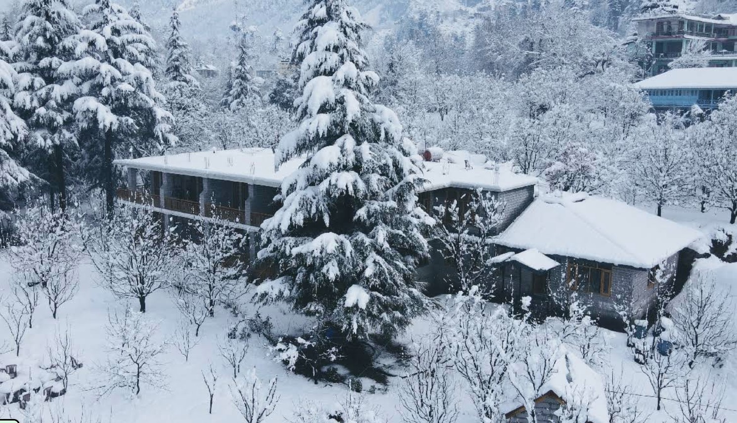 The Beas Hill Resort photo 5